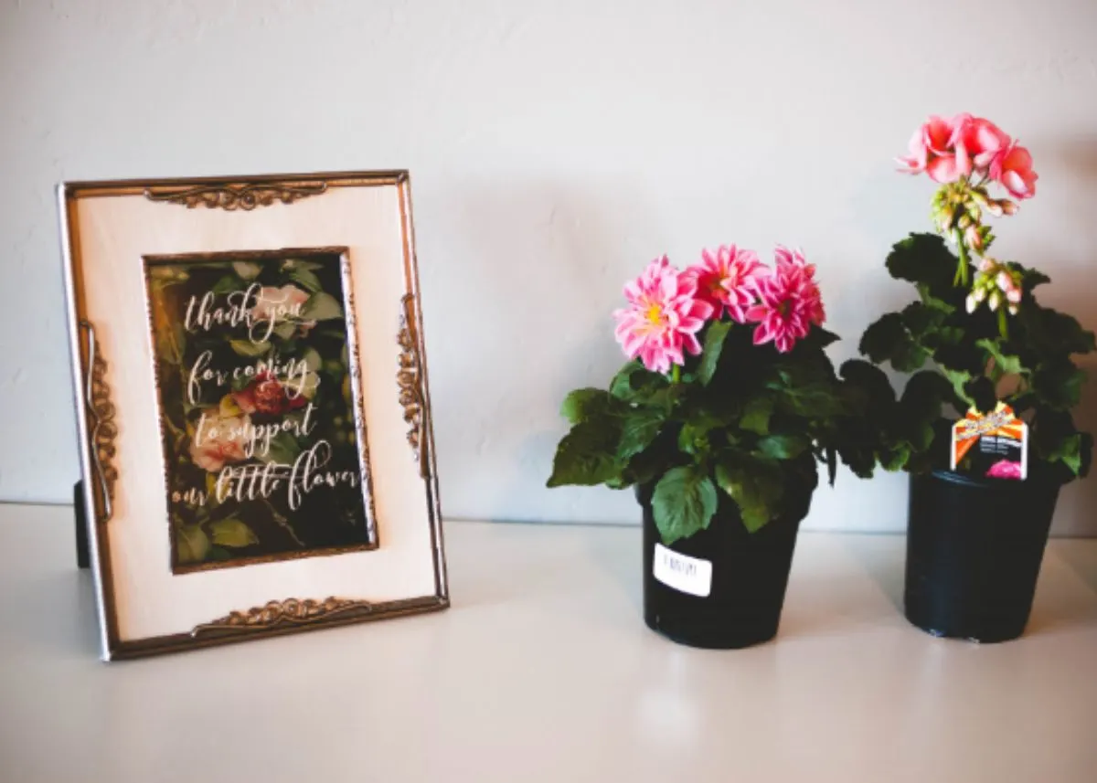 Potted Flowers on a white table next to a framed picture of flowers.