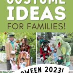 Pinterest graphic with photo collage and text that reads "Instagram worth costume ideas for families"