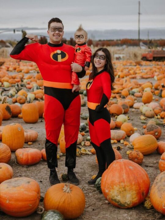 cropped-incredibles-family-costume.jpg