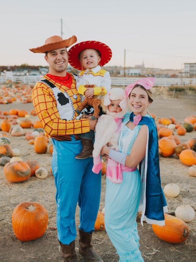 Toy Story Family Costumes