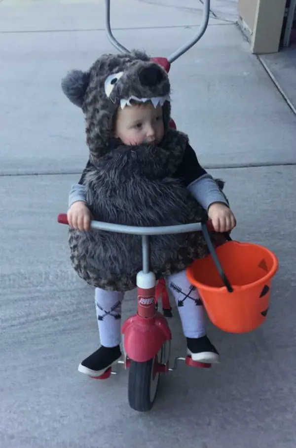 Boy wearing big bad wolf kids Halloween costume sits on tricycle and holds candy bucket.