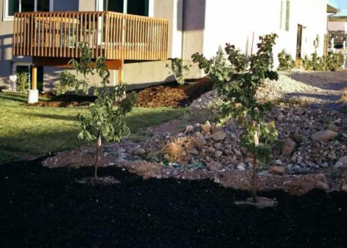 Landscaping and plants in a backyard with dark mulch and rocks.