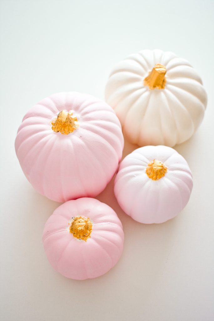 Four ombre pink pumpkins with gold stems arranged on white table.