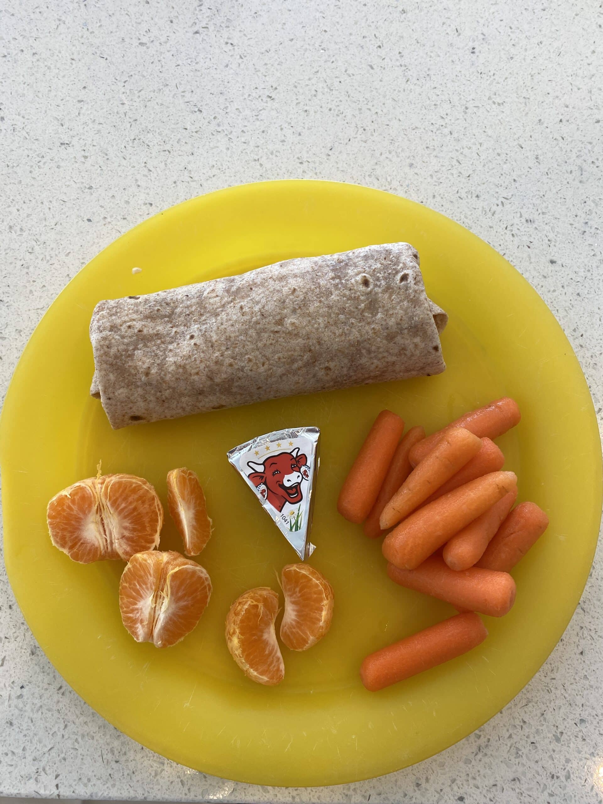 Healthy chicken wrap and carrot lunch.