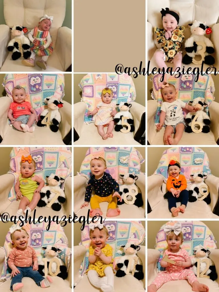 Collage of stuffed animal and wood number monthly baby photos.