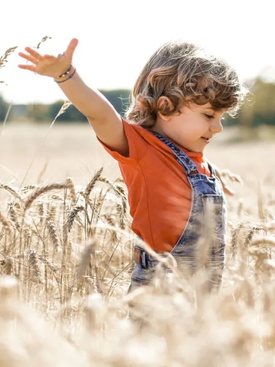 Little boy playing in wheat field.