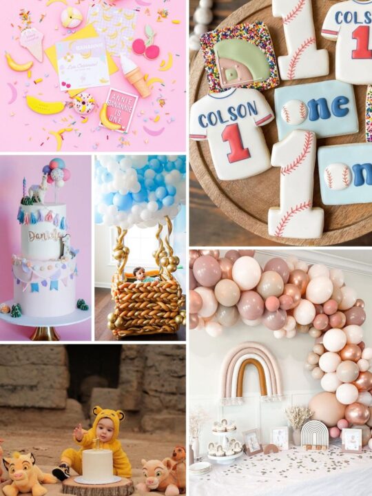 Photo collage of first birthday party themes including llama, Lion King, rainbow, and home one.