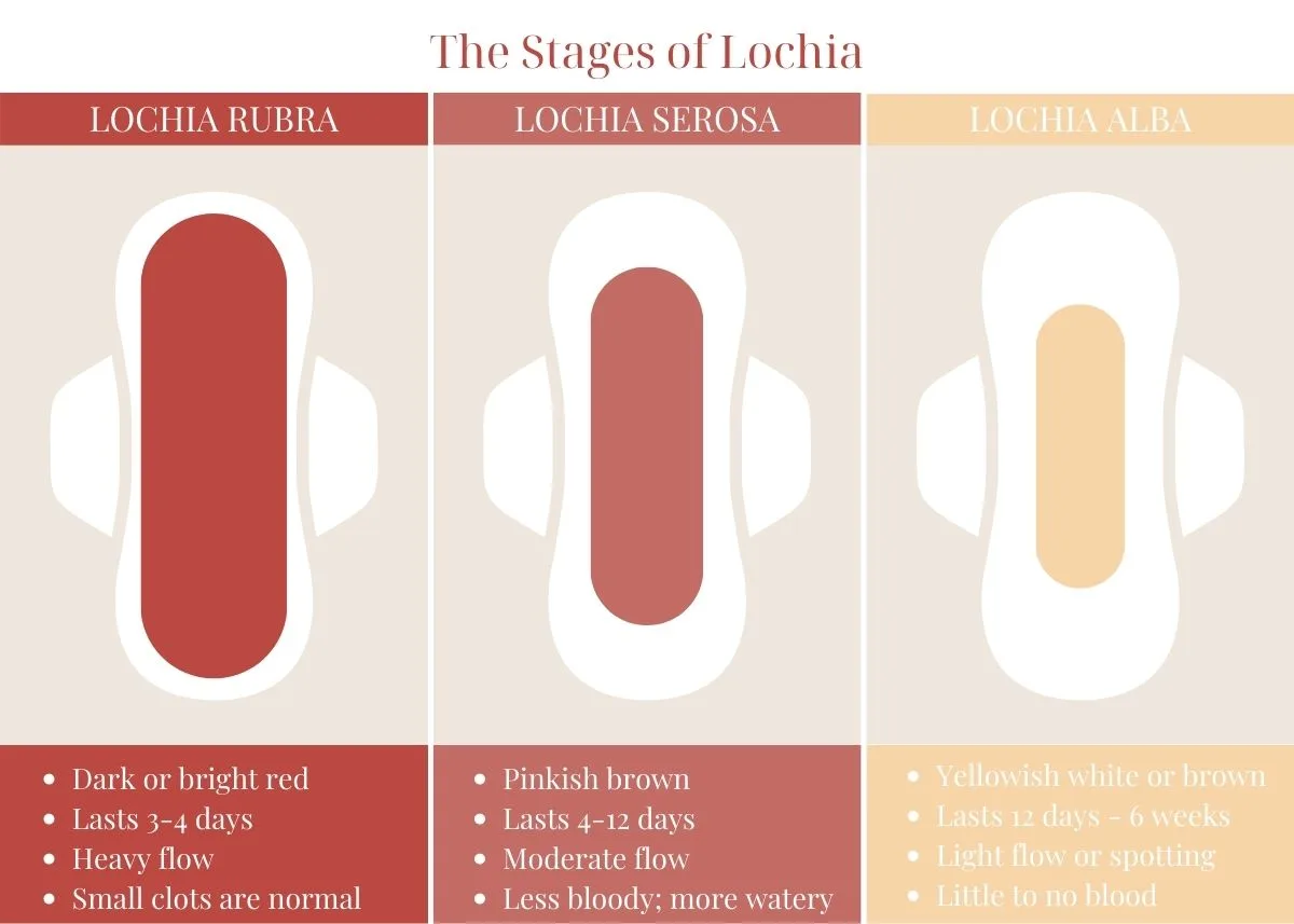 Image graphic showing the 3 stages of postpartum bleeding (lochia) using shades of color.