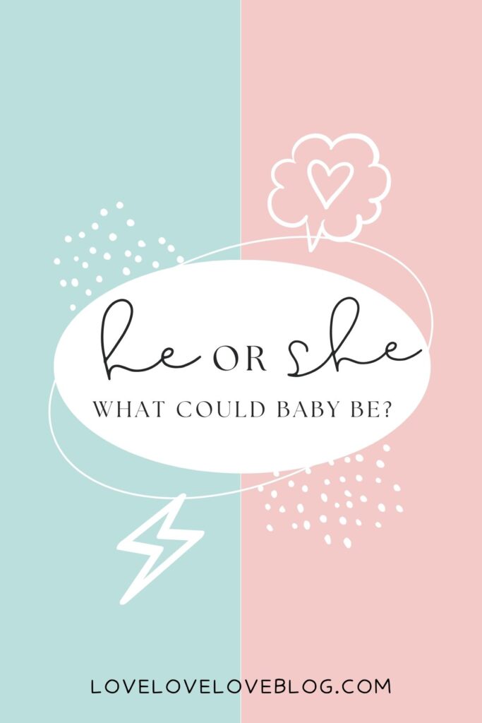 Graphic with pink and blue background and text that says "he or she what could baby be?"