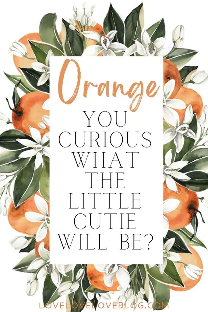 Graphic with oranges, leaves, and text that says "orange you curious what the little cutie will be?"