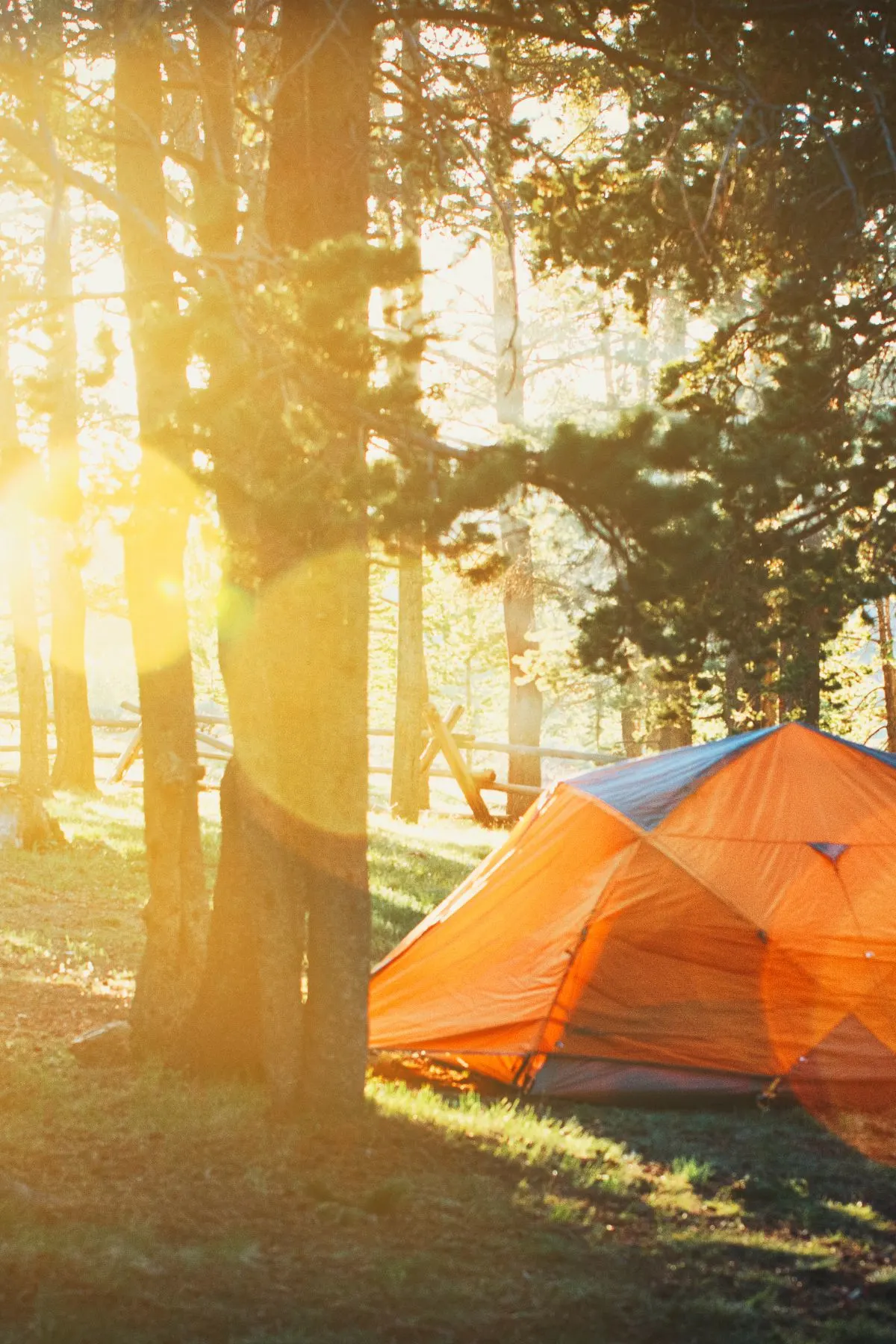 Orange camping tent in wooded forest with sun glare.