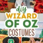 Pinterest graphic with photo collage and text that reads "diy wizard of oz costumes."